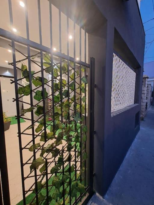 Flower'S House Di Doris Simone Bari Ngoại thất bức ảnh